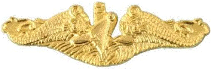 Gold naval aviator insignia featuring an anchor, wings, and a central shield.